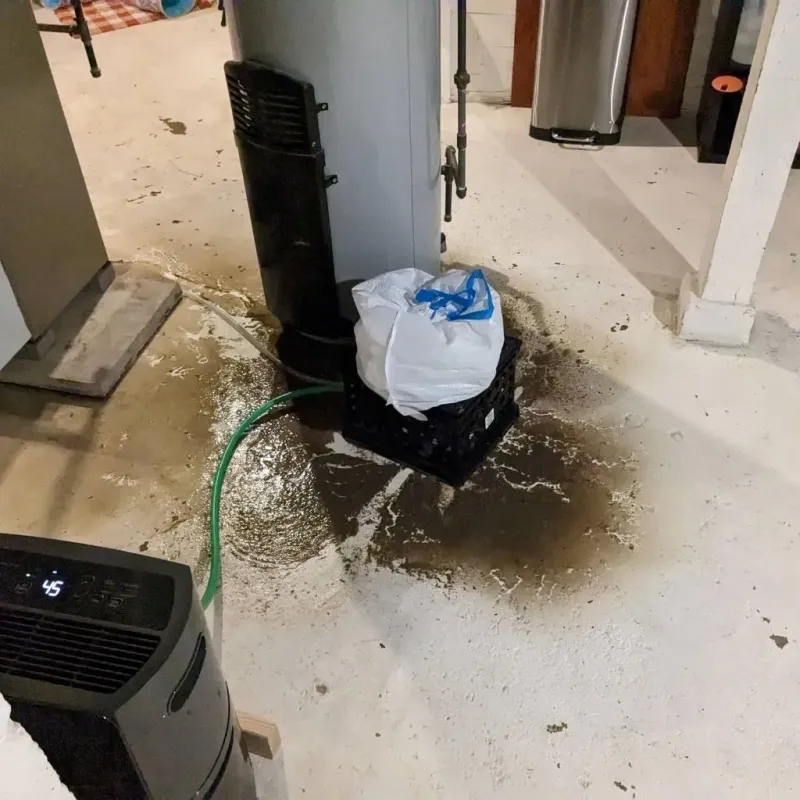 Sewage Backup Cleanup Service in Bent Creek, NC